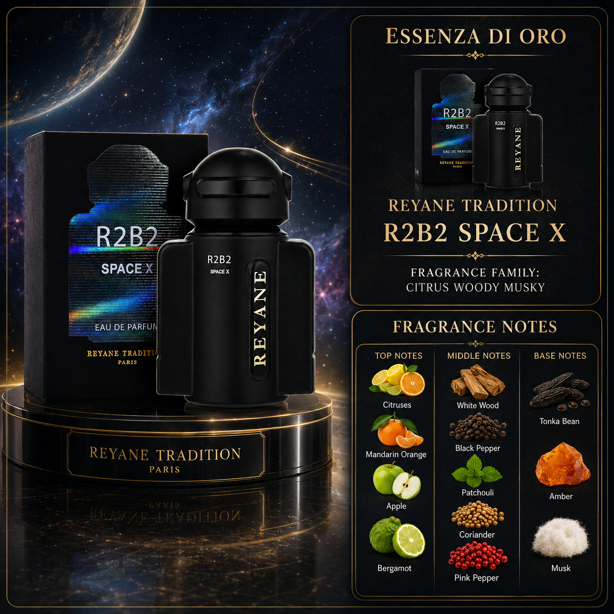 Reyane Tradition R2B2 Space X